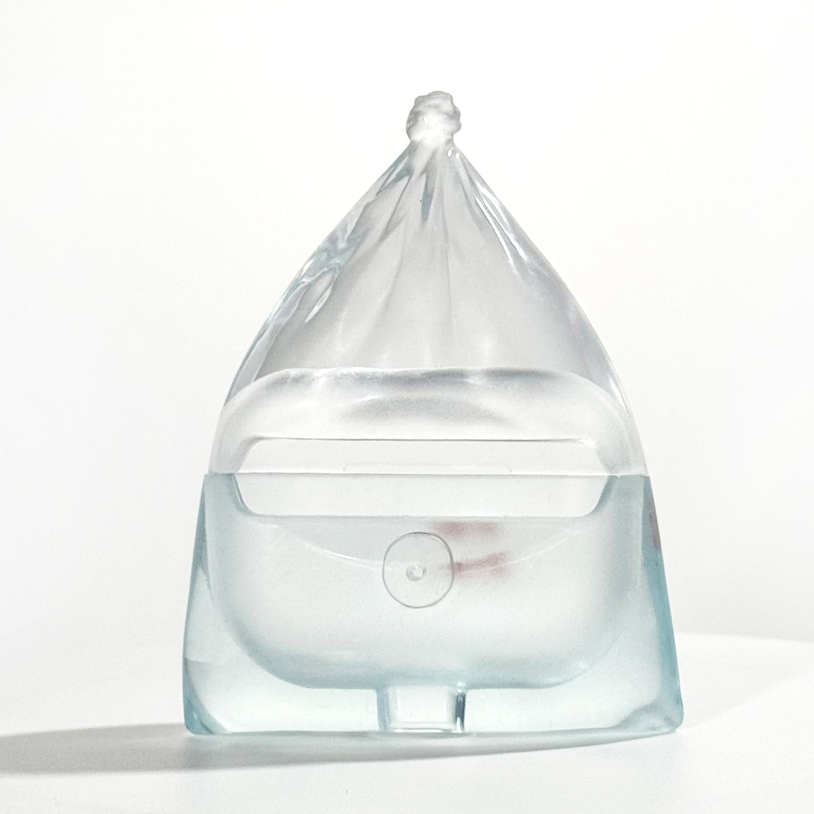 THE Three-dimensional Small Goldfish Transparent Apple AirpodsPro Case Cover